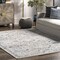 Nuloom Minta Vintage Transitional Area Rug 10ft x 14ft RZBD30C-10014 - alternate 5